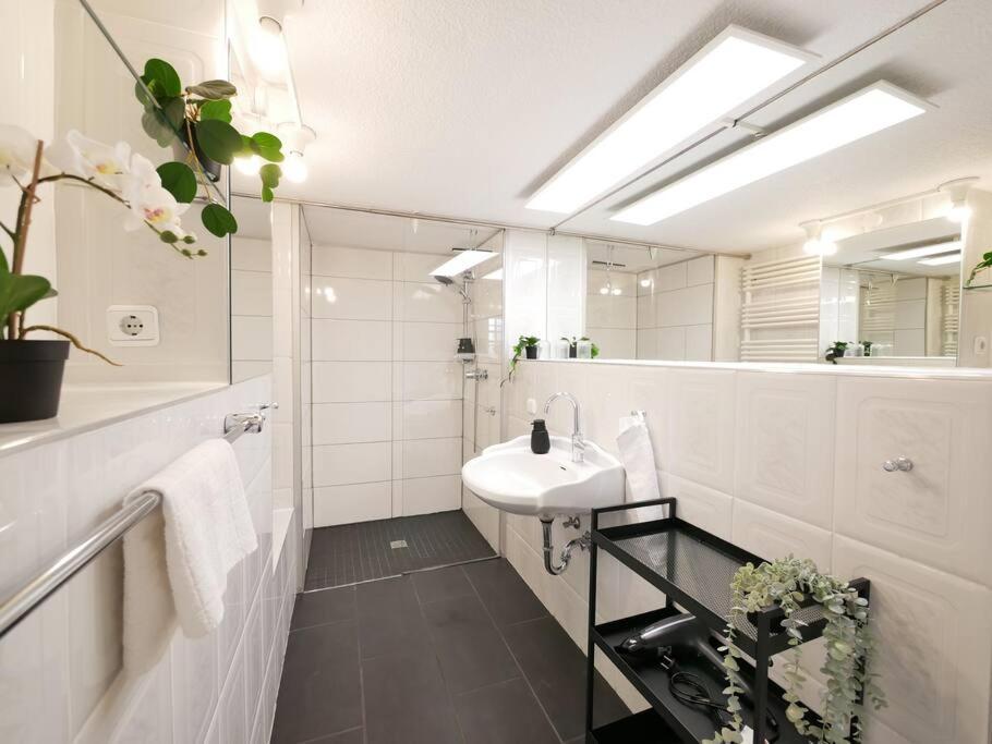 110 M2, Dachterrasse, Kueche, Zentral, Ruhige Lage Apartment Paderborn Exterior photo